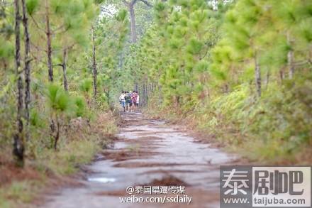 泰国黎府高峰Phu Kradueng国家园林美景图片