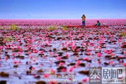 邂逅邬隆府红莲的美