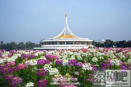 泰国曼谷拉玛9世皇家花园