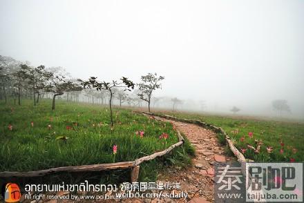 泰国赛通国家公园美景