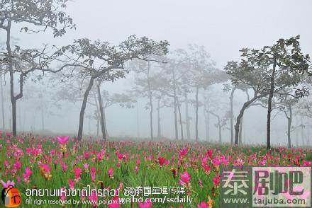 泰国赛通国家公园美景