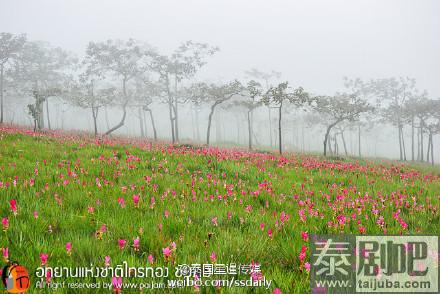 泰国赛通国家公园美景