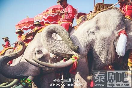 泰国旅游：龙仔厝府Tha Mai佛寺卡廷节盛况