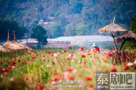 泰国清迈安康山美景