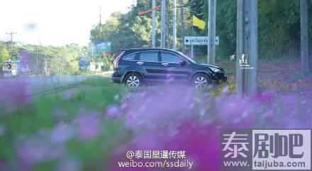 泰国碧差汶府Khao Kho景点花海美景