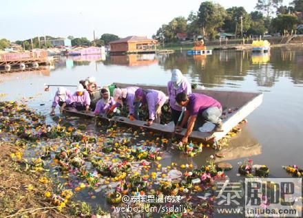 泰国曼谷水灯节过后捞水灯图