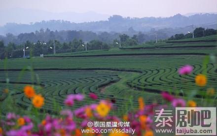 泰国清莱府Singha Park自然美景