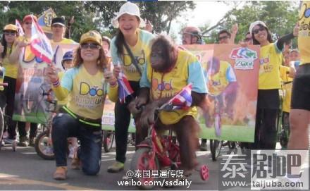 动物也有参加泰国“为父骑行”活动正在进行