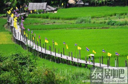 泰国旅游:泰国最长的木桥长达600米的苏东佩木桥美景