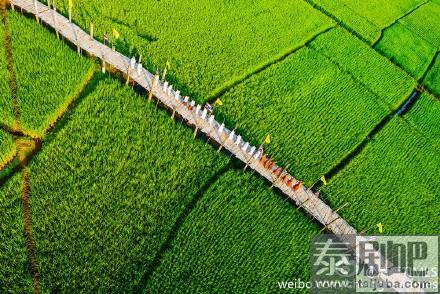 泰国旅游:泰国最长的木桥长达600米的苏东佩木桥美景