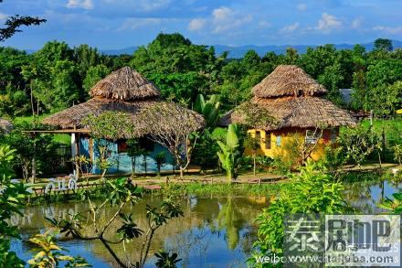 泰国旅游:安逸清新的清迈有机农场别样风情