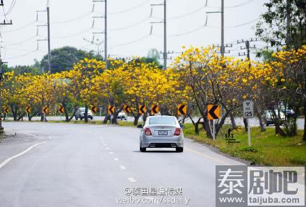 泰国旅游:泰国那空那育府境内公路美景不断