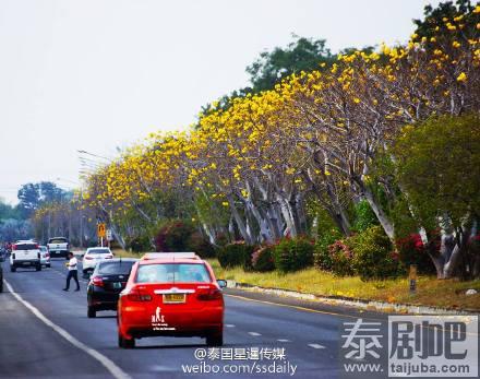 泰国旅游:泰国那空那育府境内公路美景不断