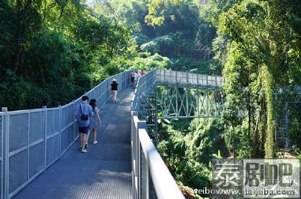 清迈诗丽吉王后植物园树冠走道