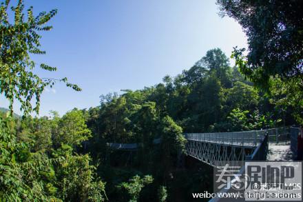 清迈诗丽吉王后植物园树冠走道