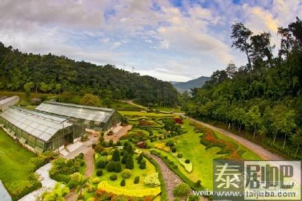 清迈诗丽吉王后植物园树冠走道