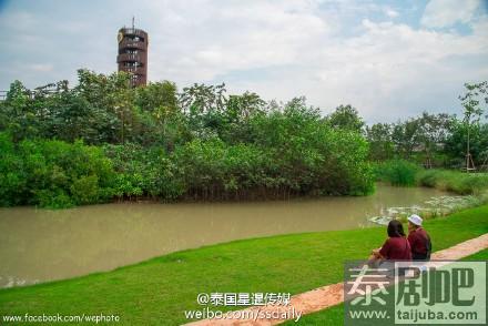 泰国曼谷绿色植物园风景