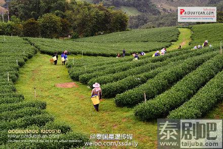 泰北美斯乐村美景