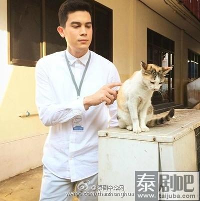 泰星SUNNY与ANDREW甘做猫奴