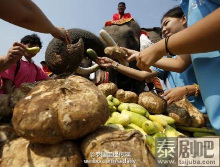 泰国举行全国大象日