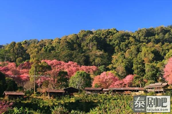 布一山苗族村