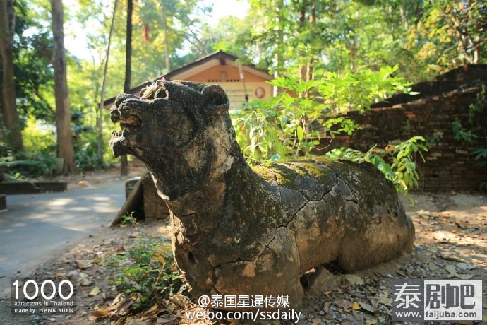 泰国清迈Wat Umong寺