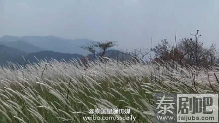 泰国旅游:清莱指天山的大草原美景