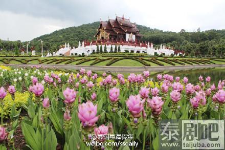 适合雨季旅游的清迈景点