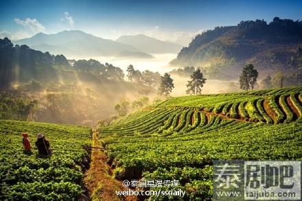 适合雨季旅游的清迈景点