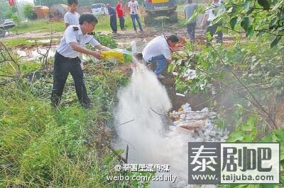 600余斤泰国芒果深埋销毁