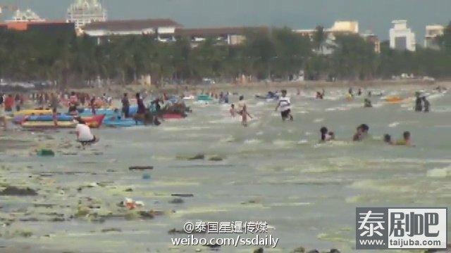 泰国春武里挽盛海域现绿色浮游物