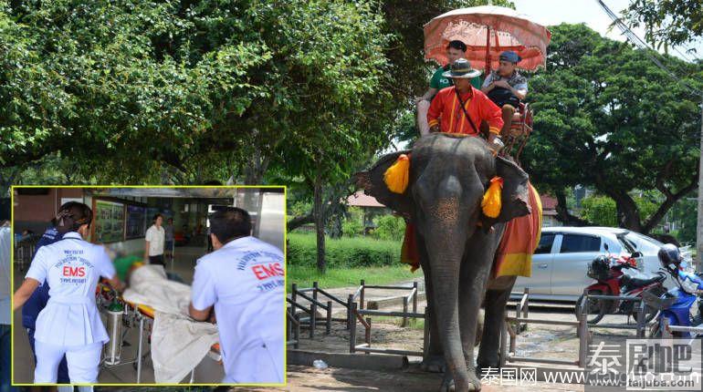 泰国大象发怒！女游客被抛空中惨摔落地！