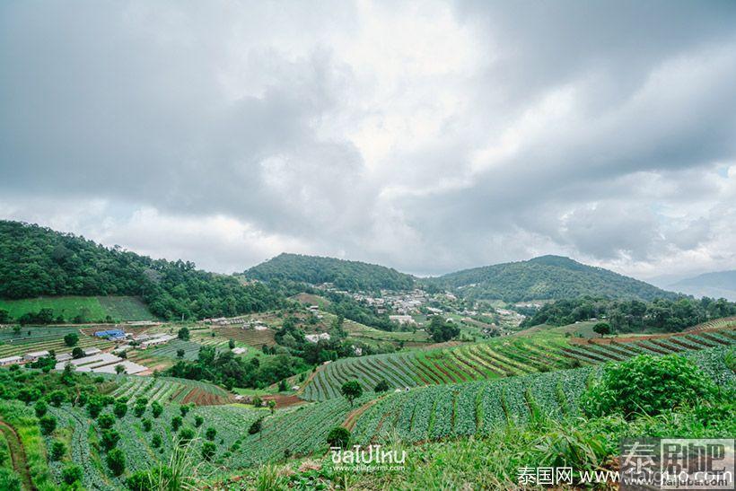 泰国旅游:清迈Nong Hoi皇家农业发展基地