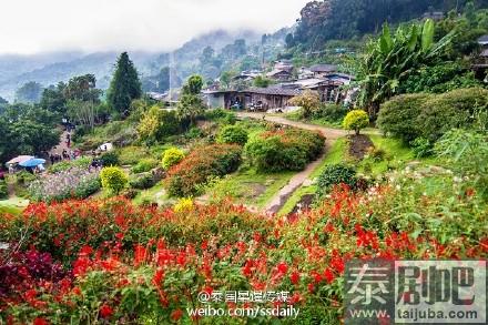 泰国旅游清迈冬季美丽风光：阳光、花、山中平整的公路