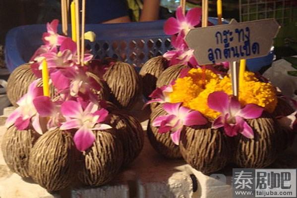 果壳（鸭脚果、海檬果）水灯