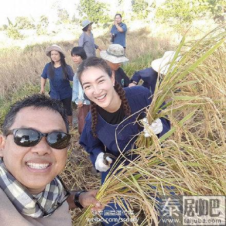 泰星Pancake素林府亲自下田干农活