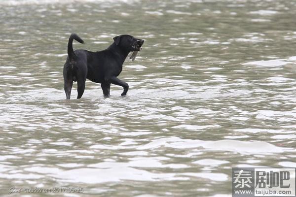 泰国曼谷连降暴雨