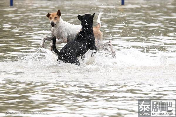 泰国曼谷连降暴雨