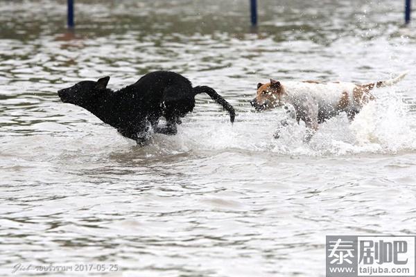 泰国曼谷连降暴雨