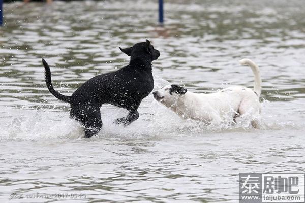 泰国曼谷连降暴雨