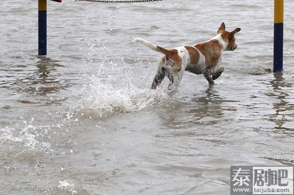 泰国曼谷连降暴雨