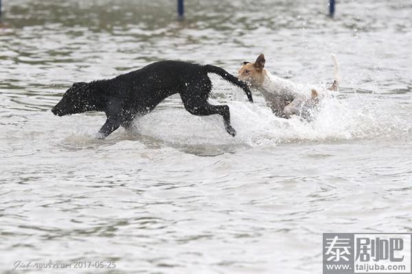 泰国曼谷连降暴雨