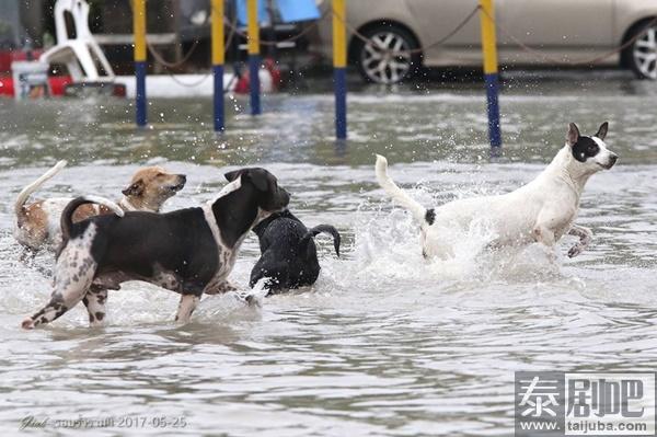 泰国曼谷连降暴雨