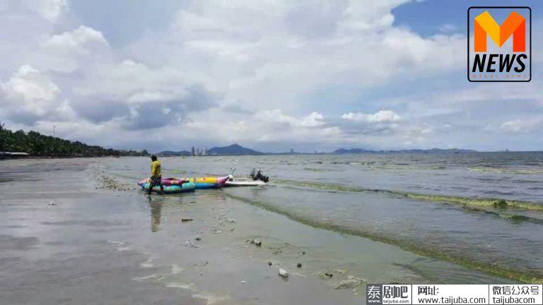 泰国春武里府邦盛海滩浮游生物泛滥