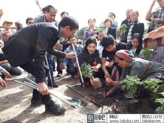 英拉与红衫军种万寿菊向九世王示忠诚